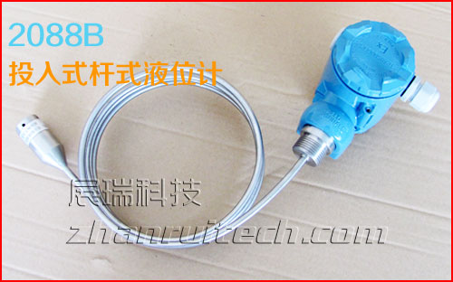 插入式液位计/插入式液位变送器 实拍图